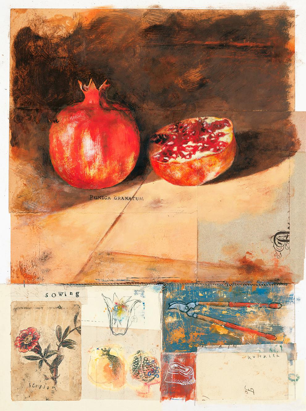 Granatapfel Granatapfel