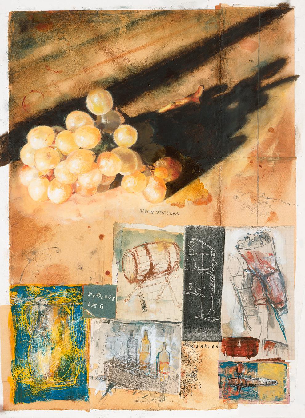 Weintrauben Weintrauben