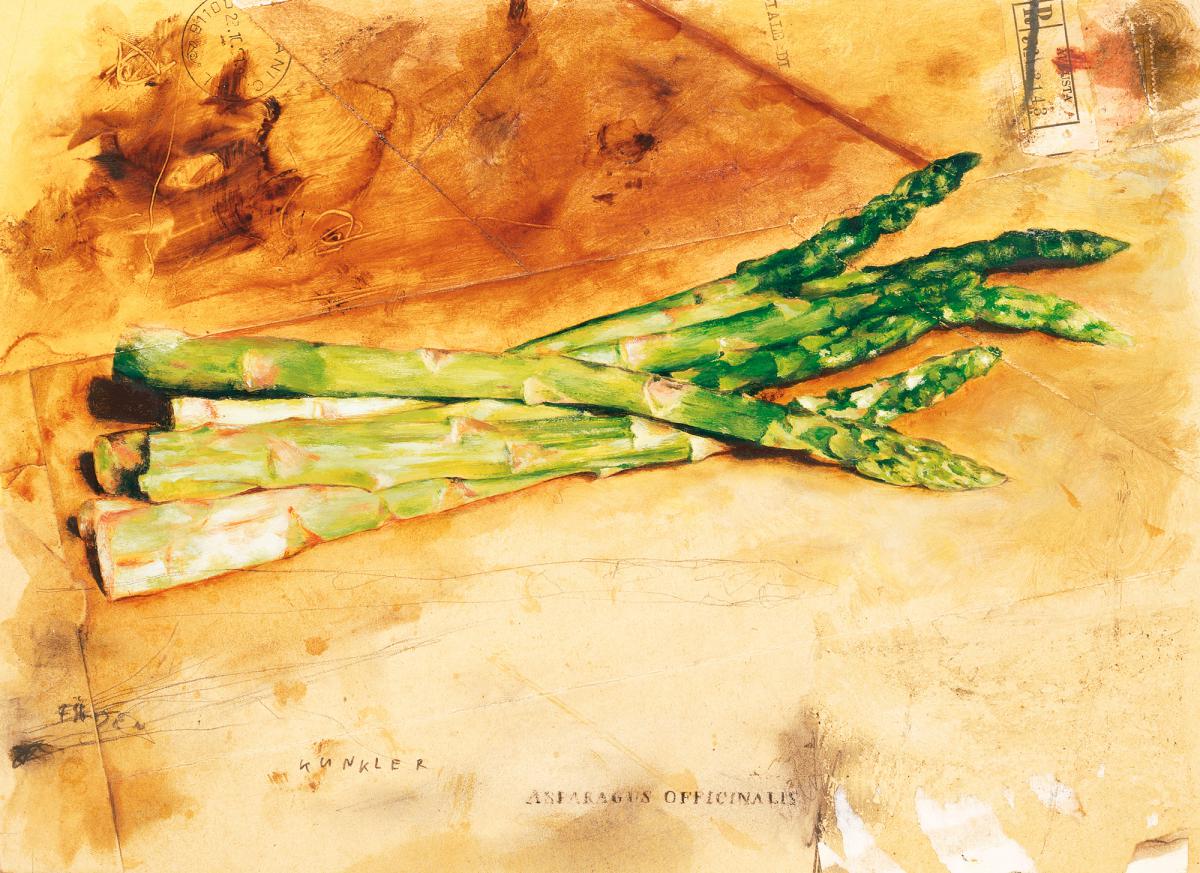 Spargel Spargel